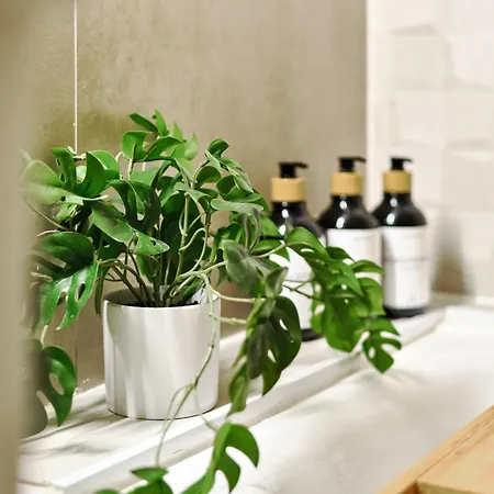 Relaxing Oasis For Digital Nomads With Pool Διαμέρισμα Τορεβιέχα