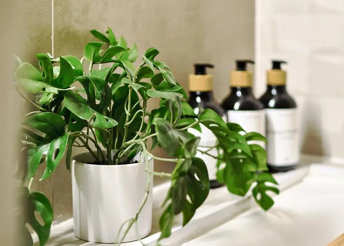 Relaxing Oasis For Digital Nomads With Pool Апартаменты Торевьиа